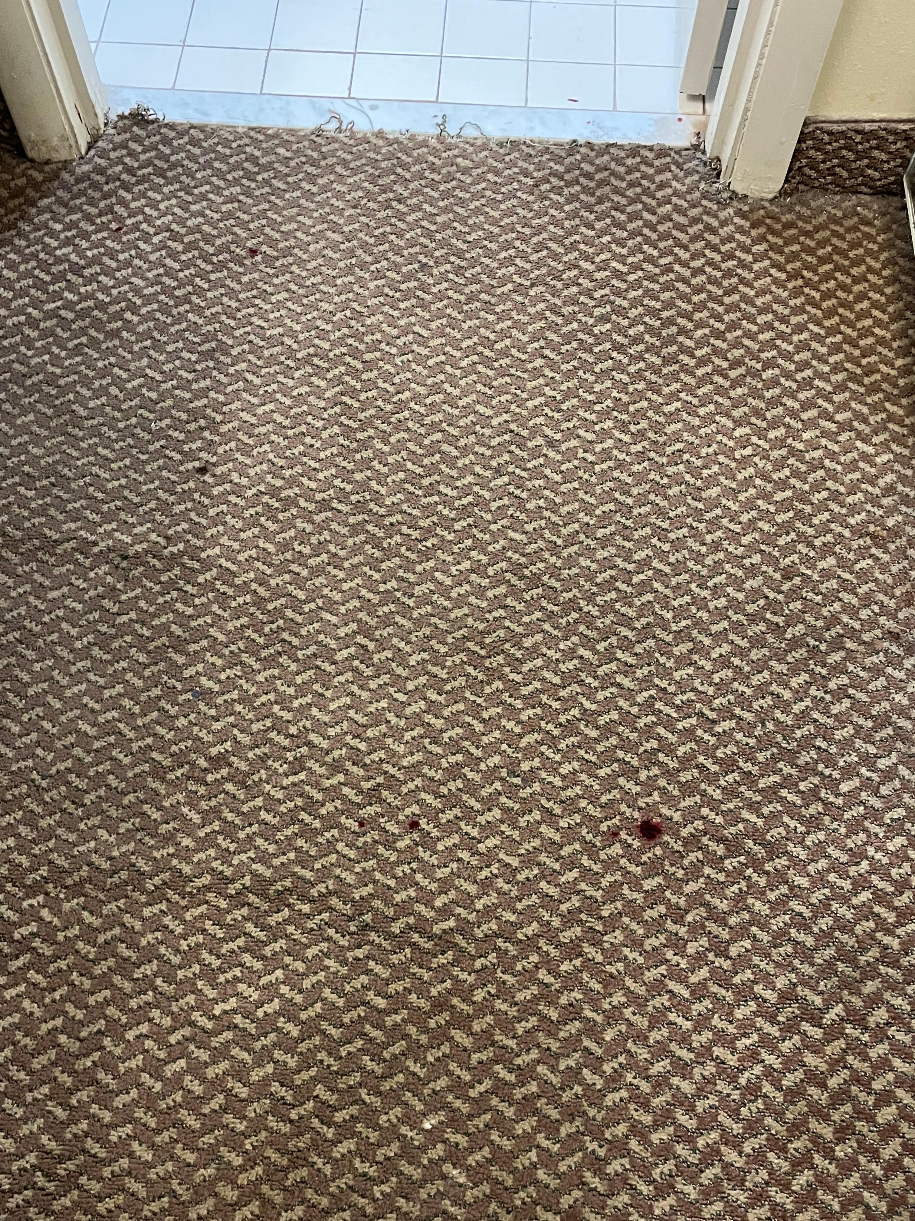 Blood stains all over the carpet leading into the bathroom. 
The manager said it was deodorant that didn’t get cleaned up before we checked in. 