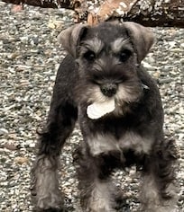 “Look mom, I found something!”