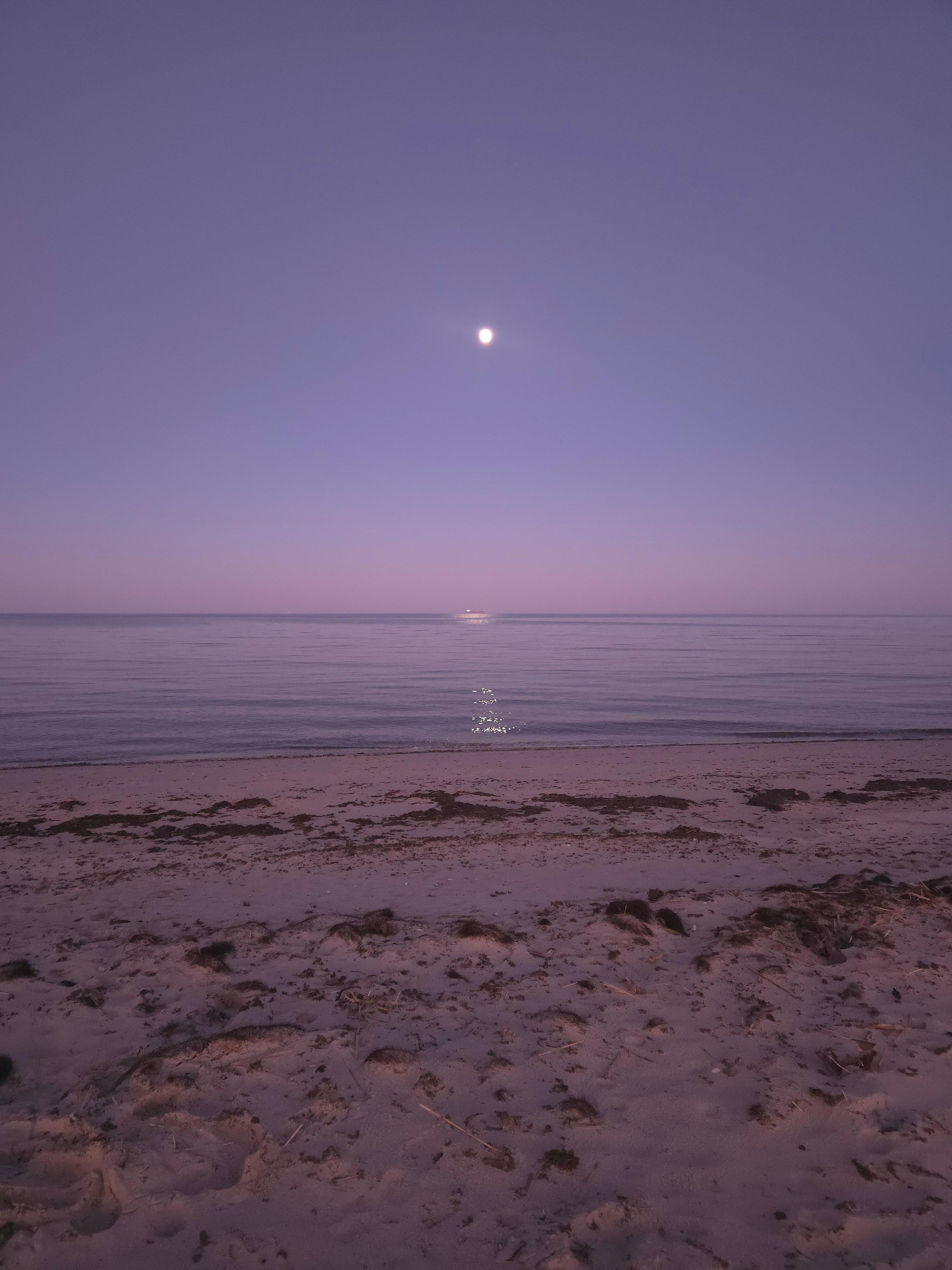 Beautiful moonlit walks on the beach