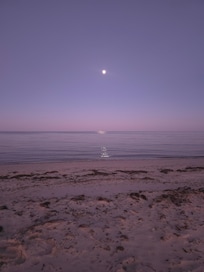 Beautiful moonlit walks on the beach