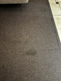 Carpet by dirty tile to kitchenette