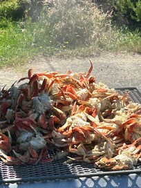 Dory boat crabbing