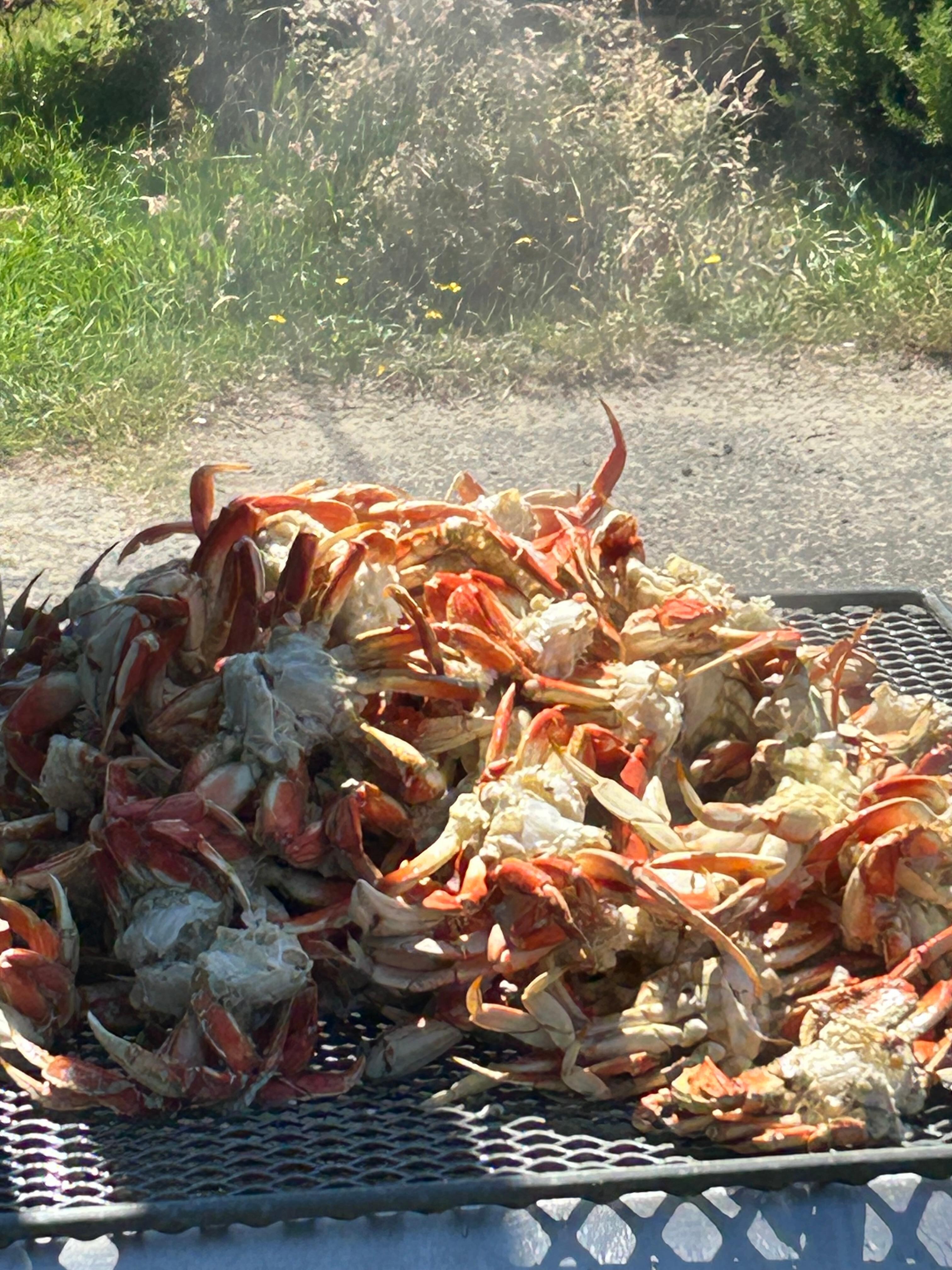 Dory boat crabbing 