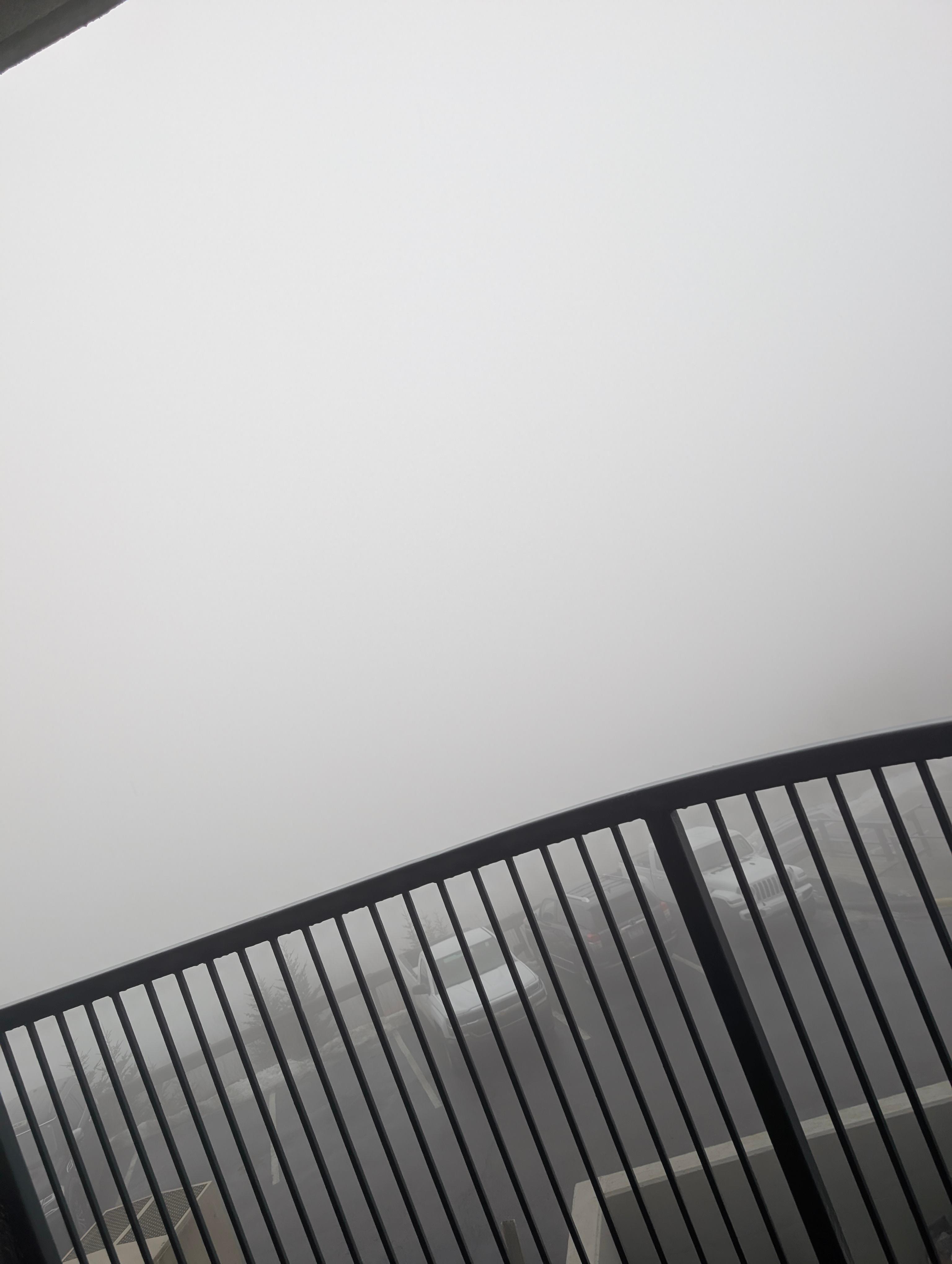 It was extremely foggy and rainy all day