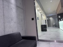 Entrance- lobby sofa