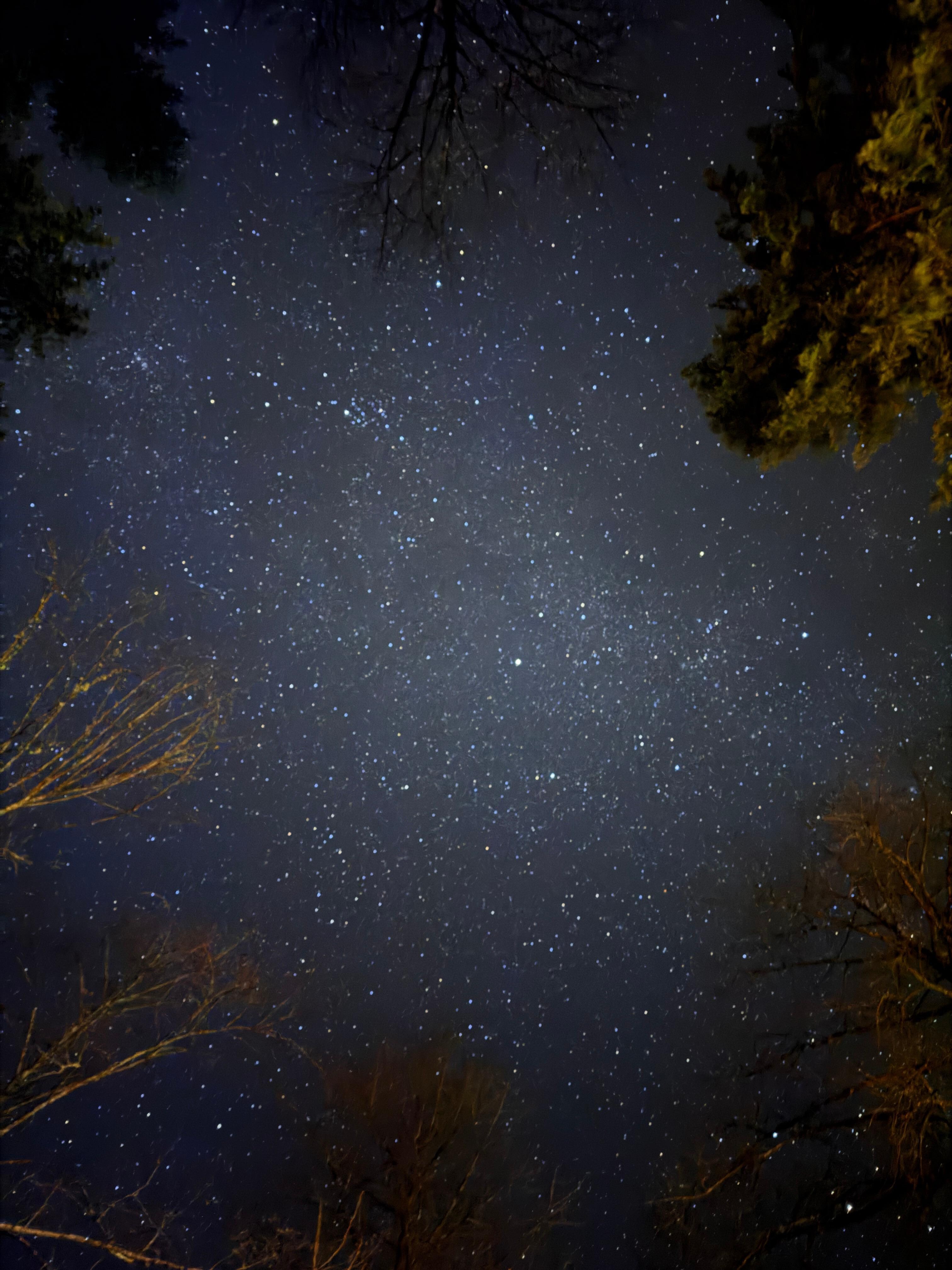 The night sky - taken near the hot tub/sauna area