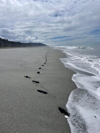 Gold Bluffs Beach