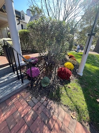Front entry