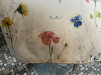 Duschvorhang mit Schimmel
