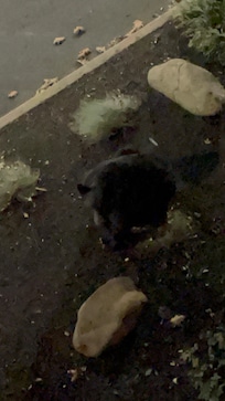 Standing
Outside the entryway to the unit