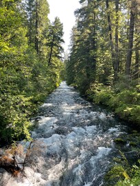 The beautiful McKenzie River