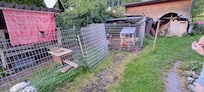 I am standing next to the bathroom and the rental is behind the chicken coop.