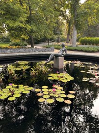 Sculpture Garden
