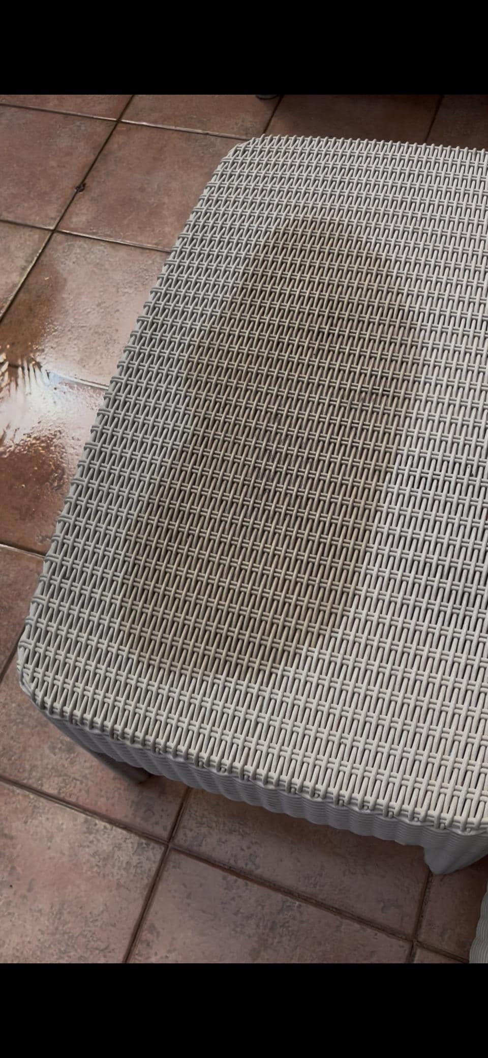 Feral Cat urine stains on outdoor furniture 