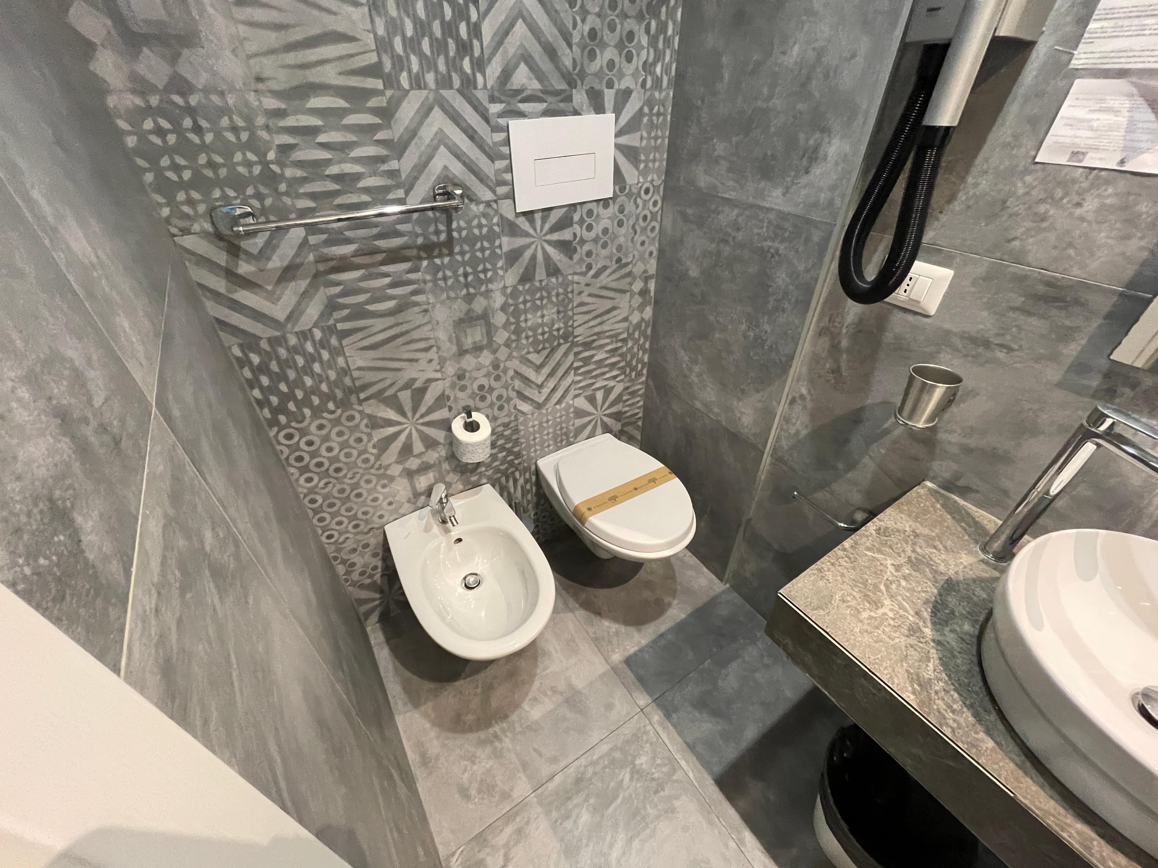 Toilet / bidet situation 