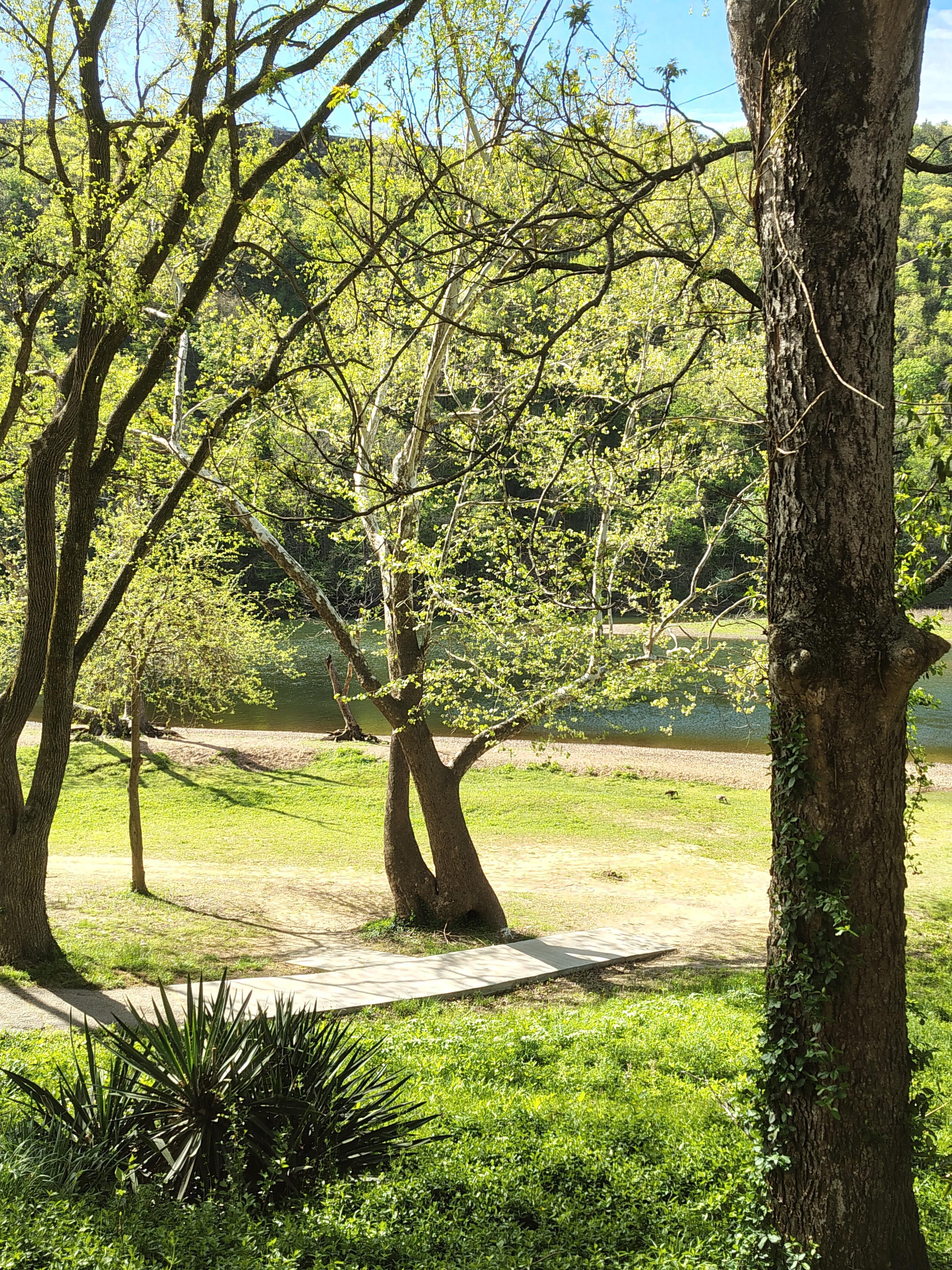 Lake view from screened porch