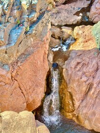 Colorful scene along Water Wheel Falls Trail.