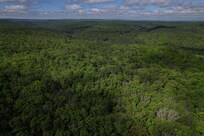 Nothing but trees and sky for miles around