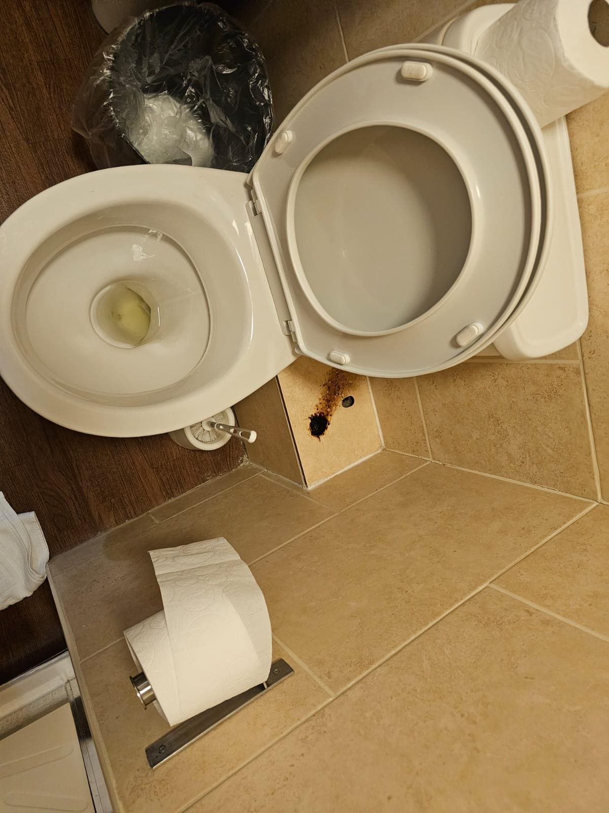 Toilet with disgusting brown deposit on the ceramic tile