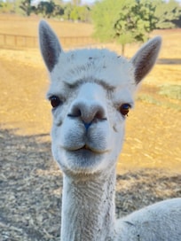 Feed Me Please!