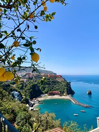 Ausblick von der Terrasse