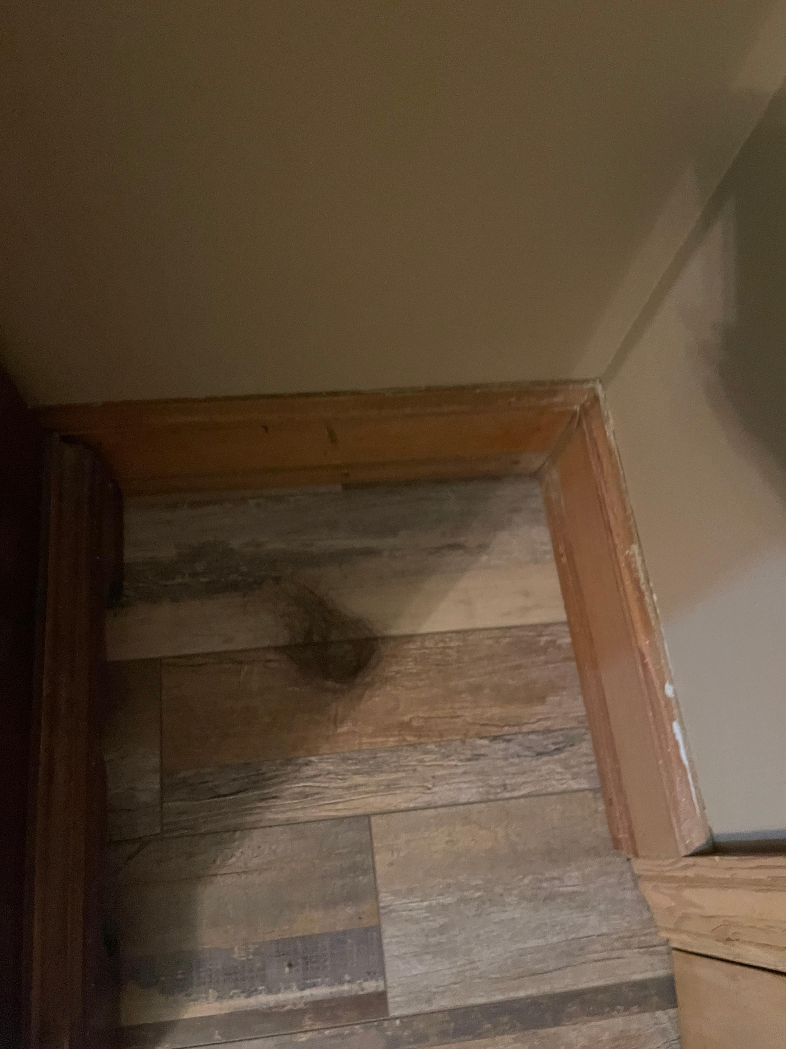 Hair on the floor behind door. 