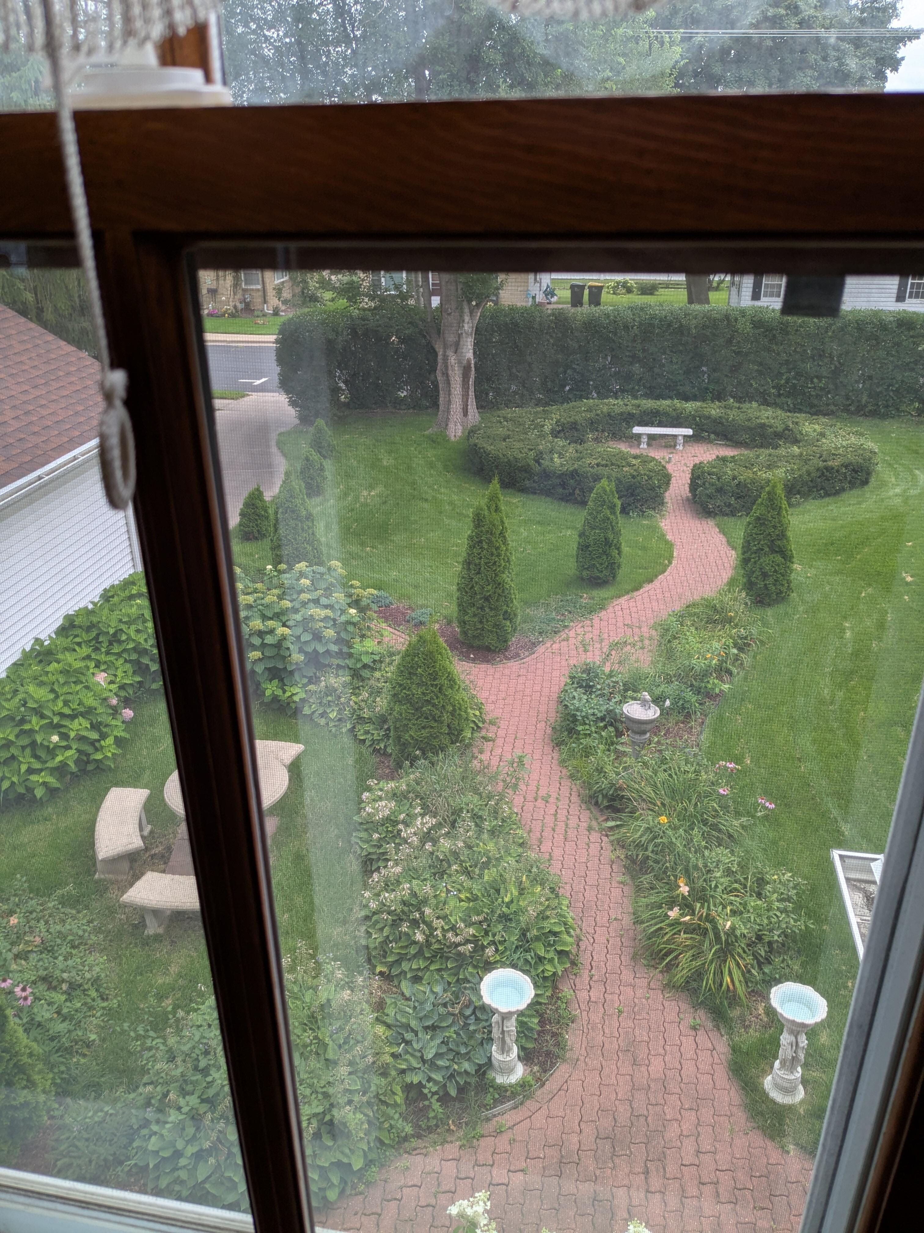 Backyard - View from Master Bedroom
