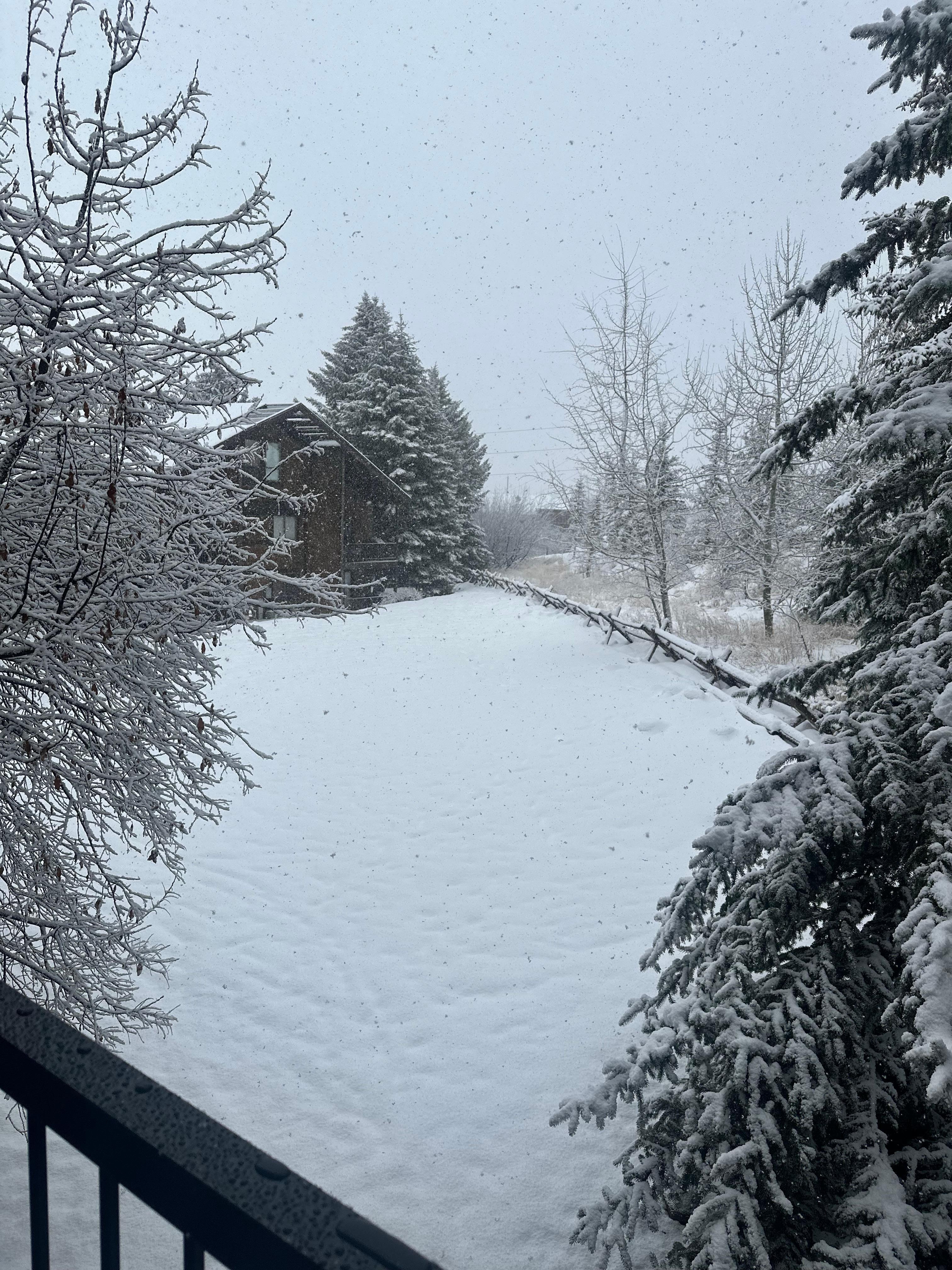 Beautiful balcony view! 