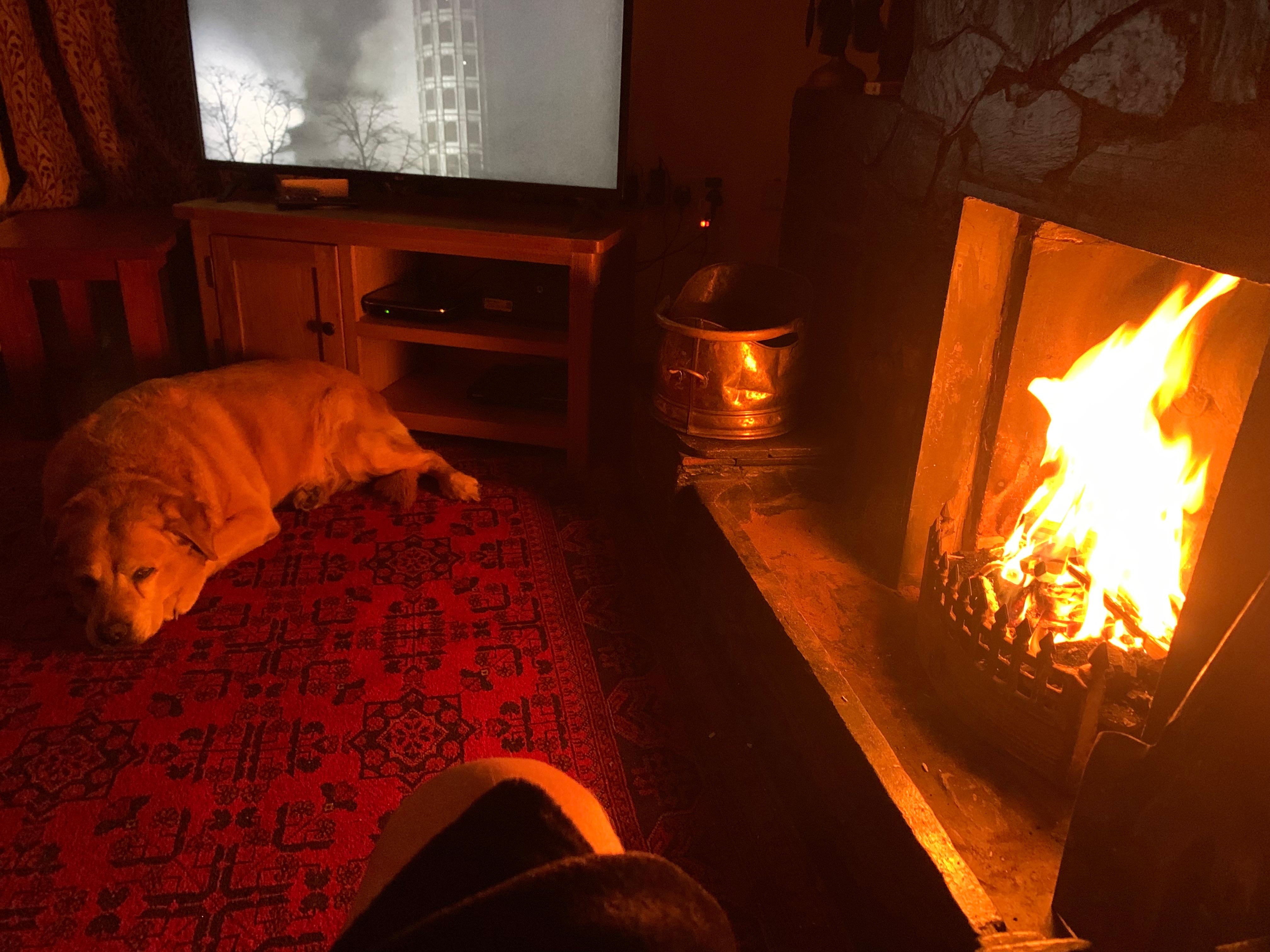 Happy dog, happy dog dad!