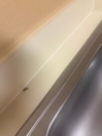 Cockroaches in kitchen sink