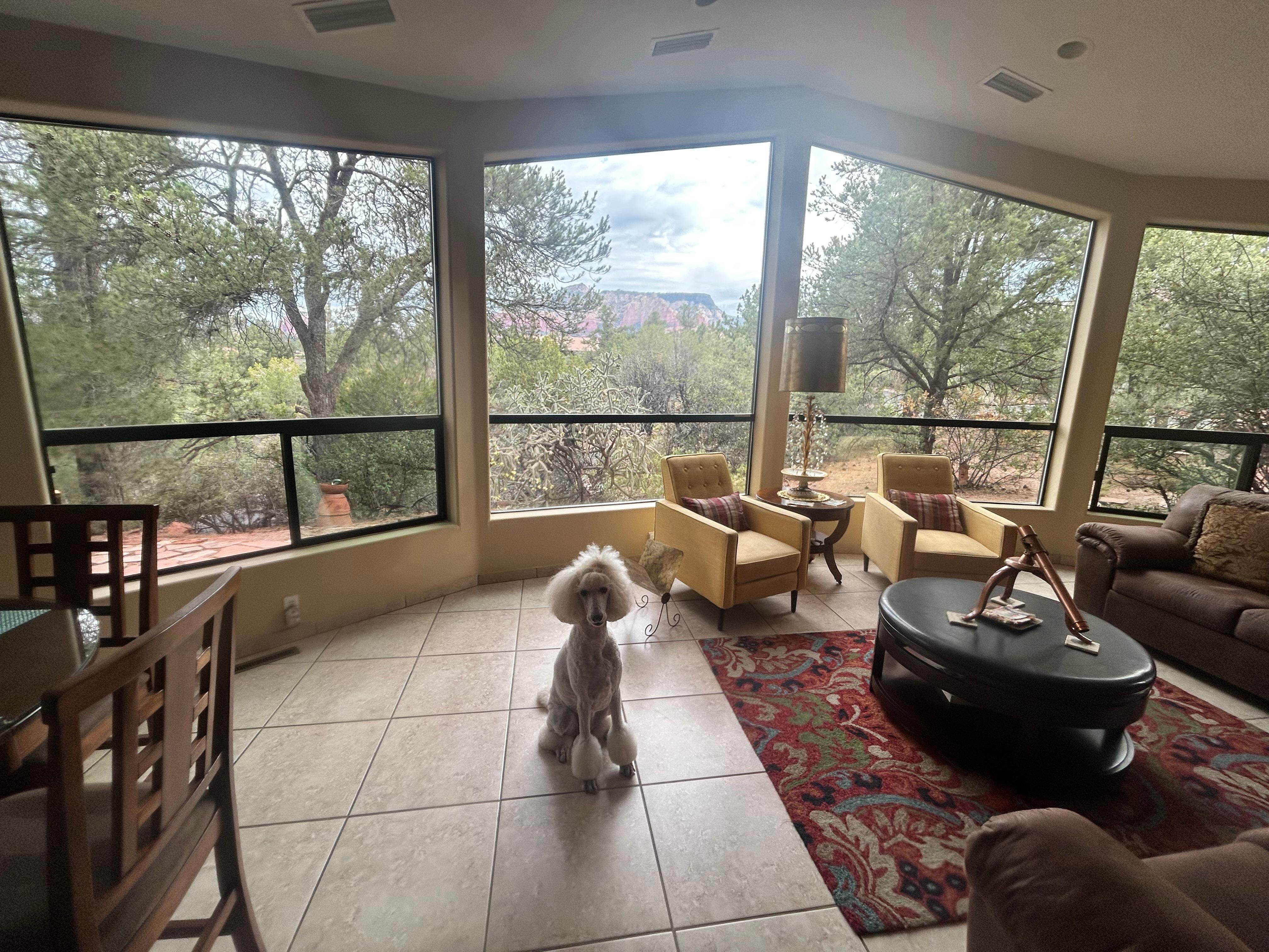 Huge windows with amazing views 