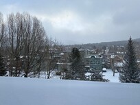 Shops view from the rear lobby door