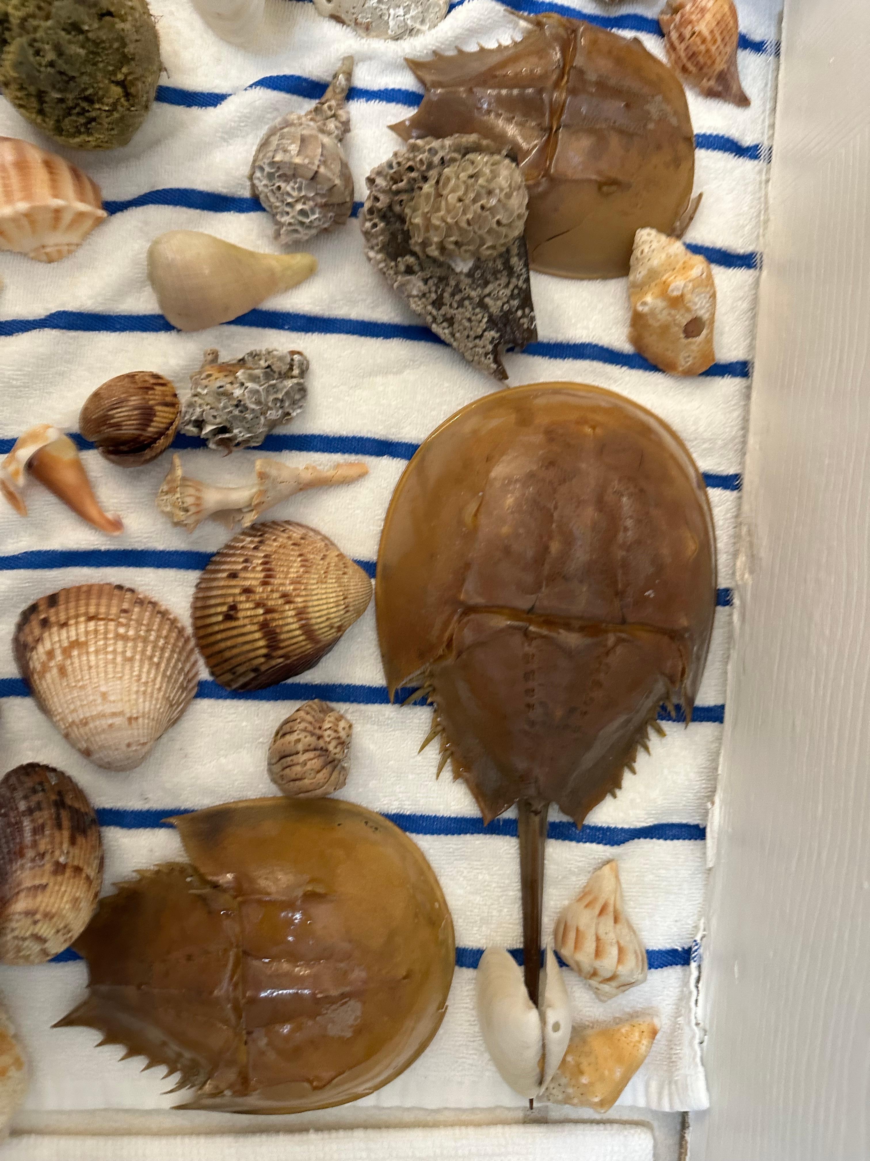 1hour on the beach  @ tide change = ⬅️