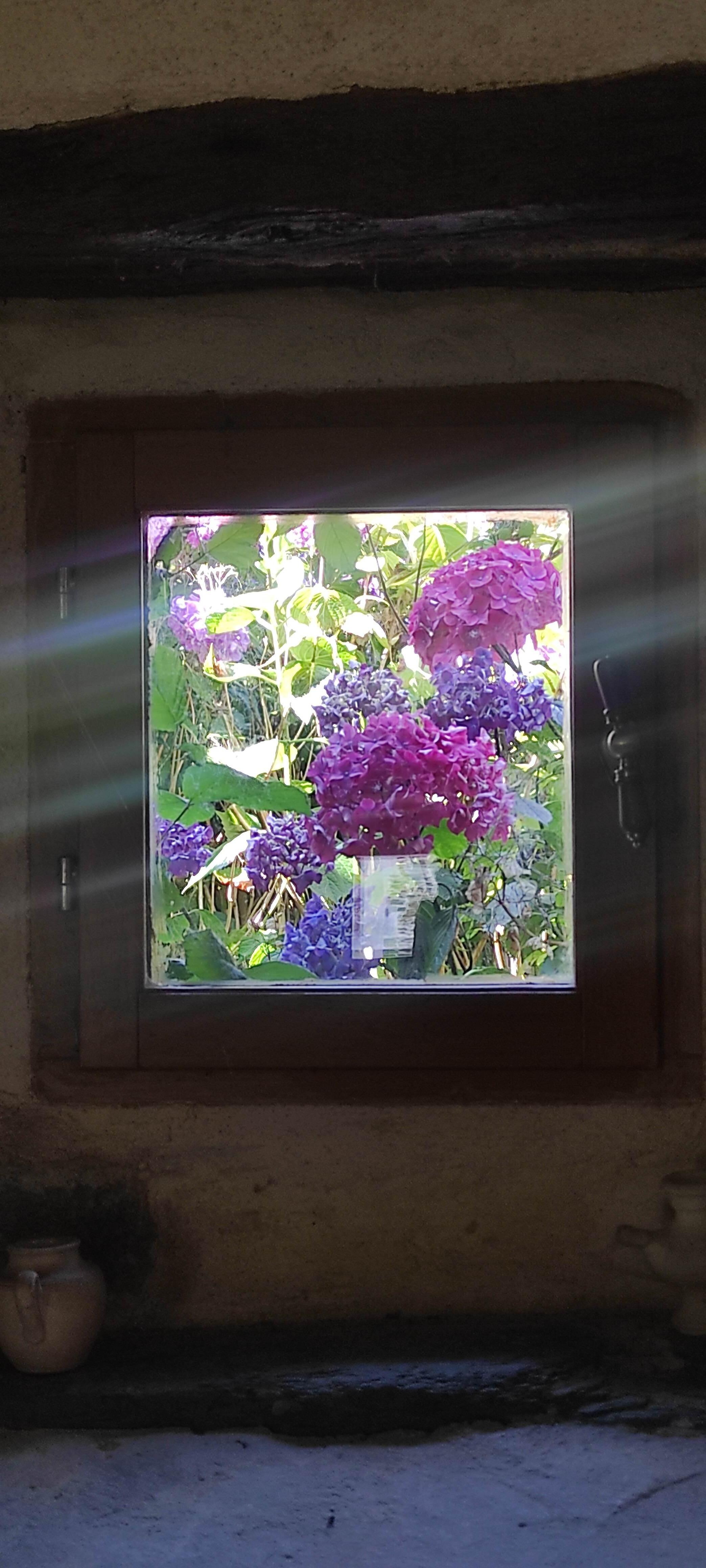 Le charme des pierres et des hortensias 