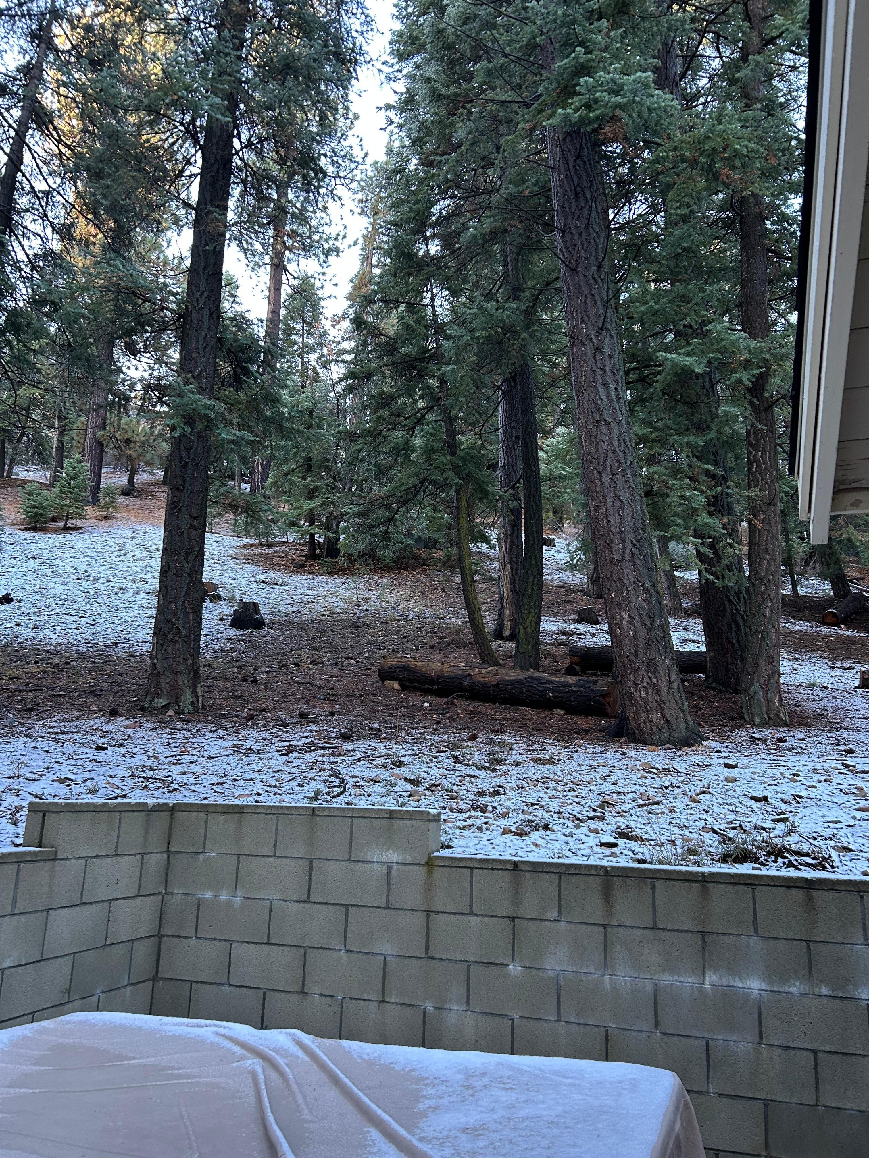 Hot tub, brick wall (fence), backyard slope