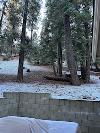 Hot tub, brick wall (fence), backyard slope