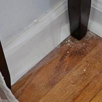 Trash in the living room. I found this while I was picking up other trash in the same area.