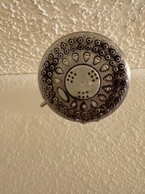 Shower head before