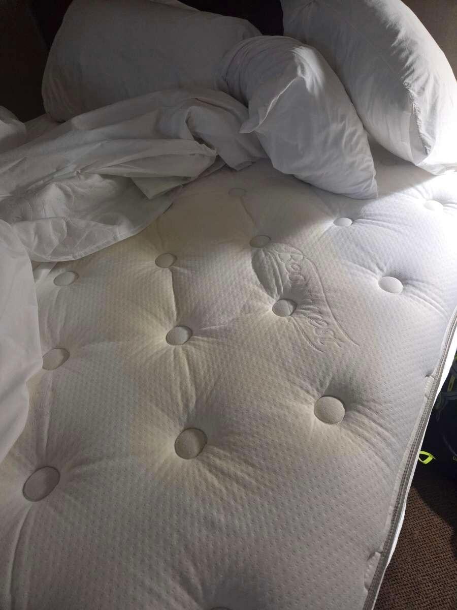 Mattress stain forgot to take a picture of the blanket and shower curtain reddish colored stains