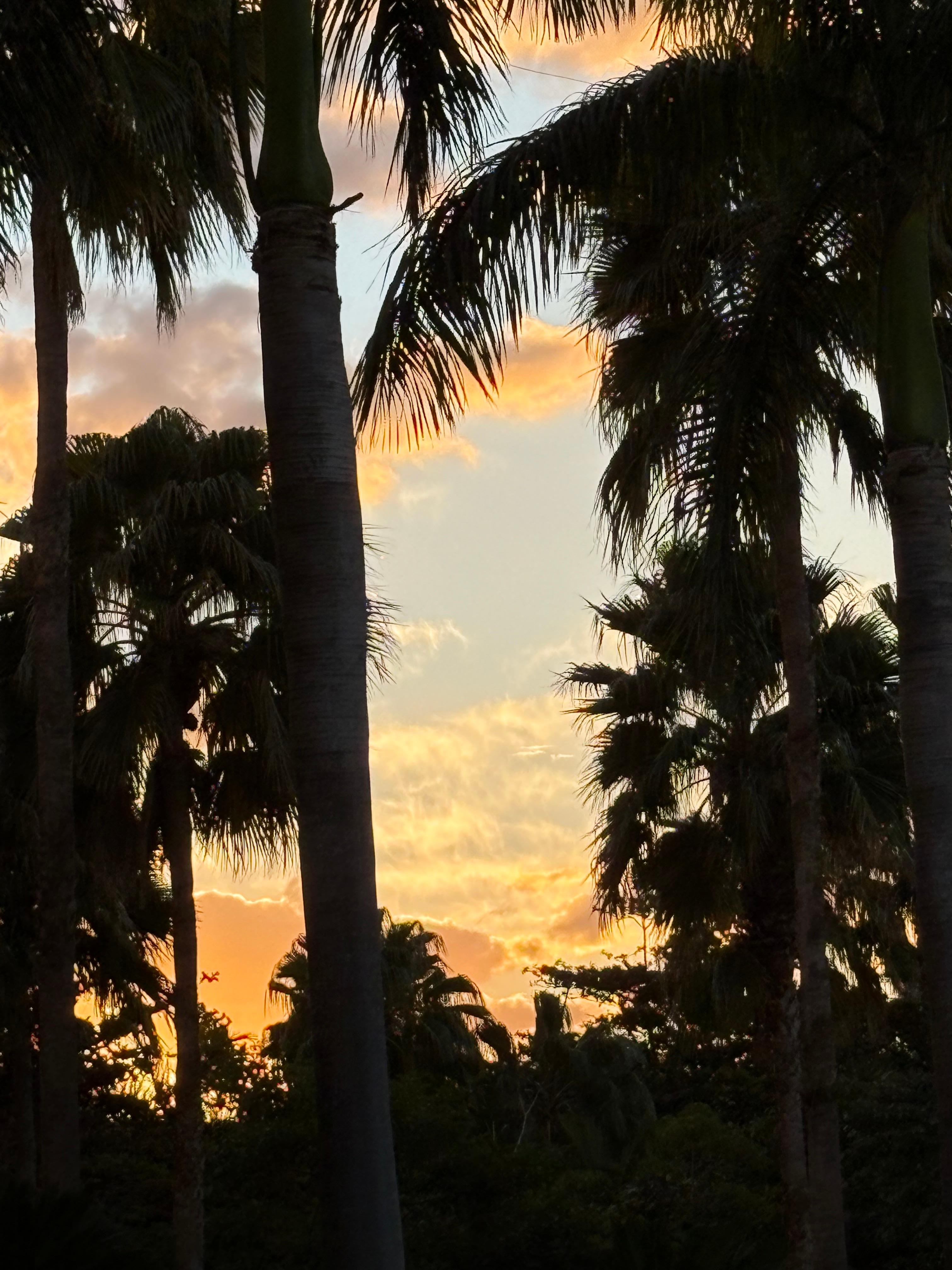 View waiting for an excursion pickup. 