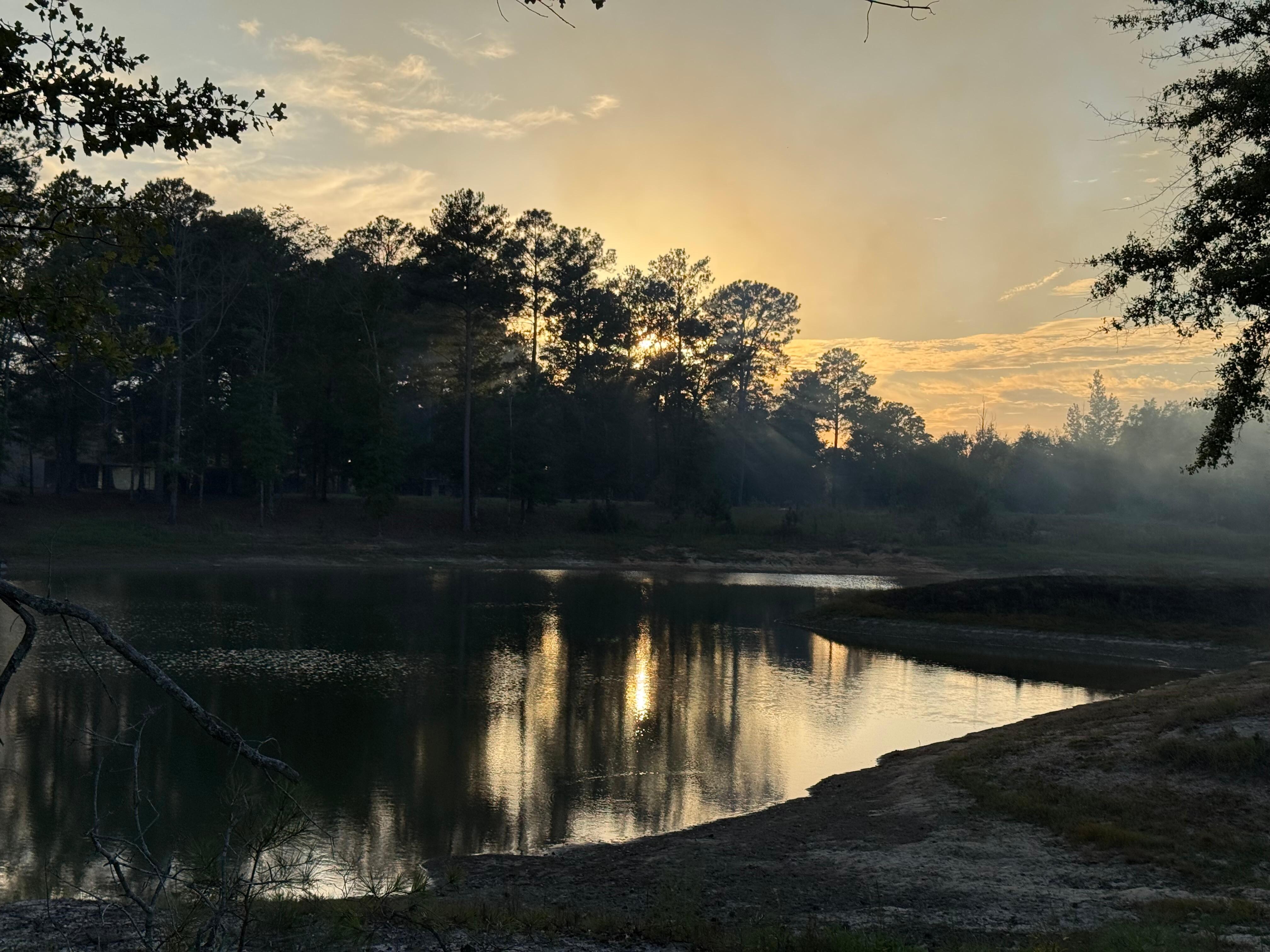 Pond across the driveway!