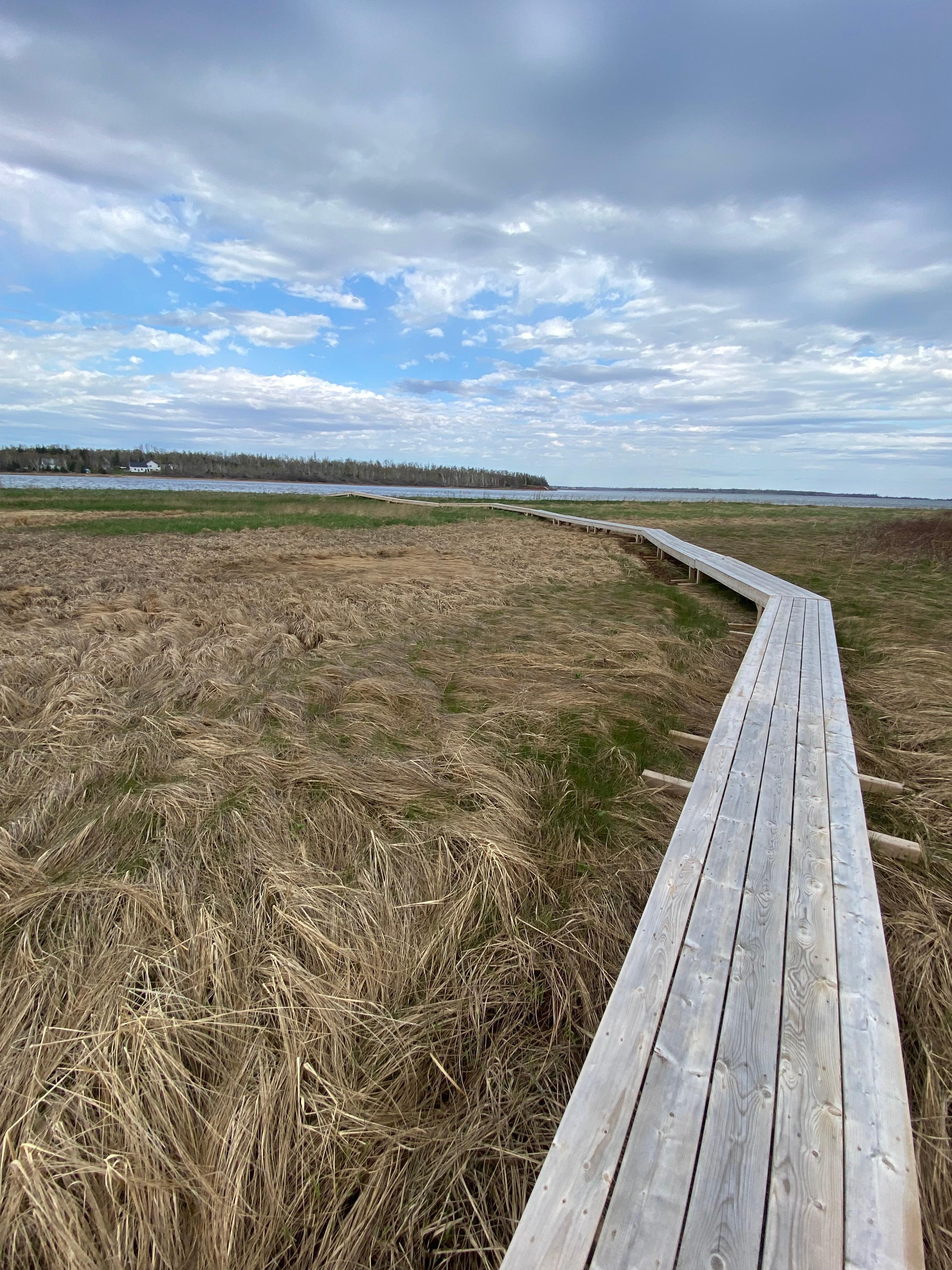 Boardwalk behind the house leading to a beach!