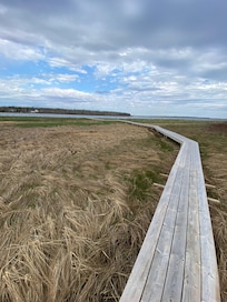 Boardwalk behind the house leading to a beach!