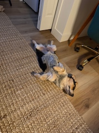 I wish I would have snapped more photos - Norman approved of his stay!