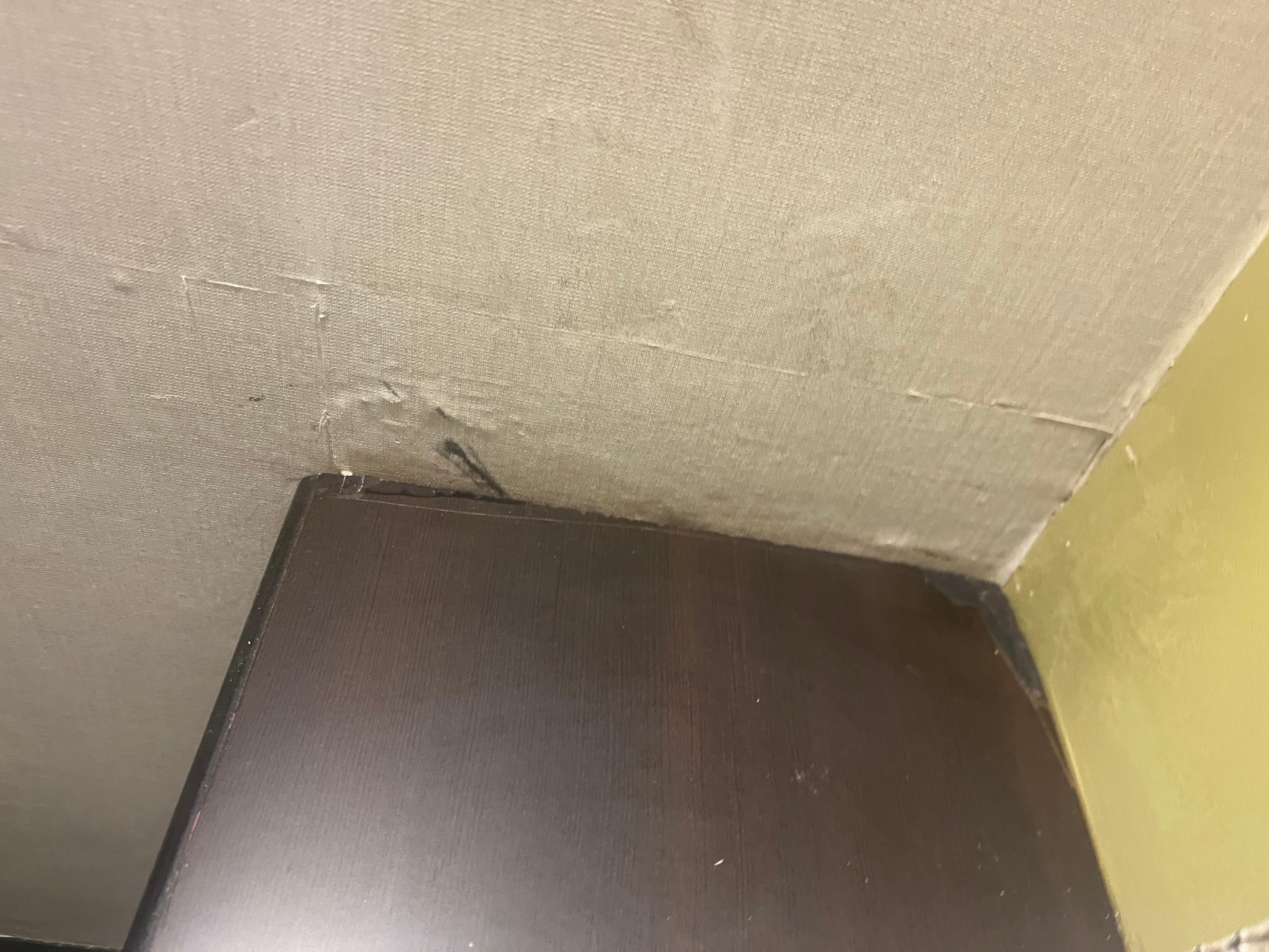 The wall has water damage.  