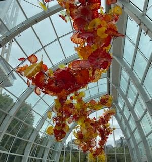 Chihuly Garden