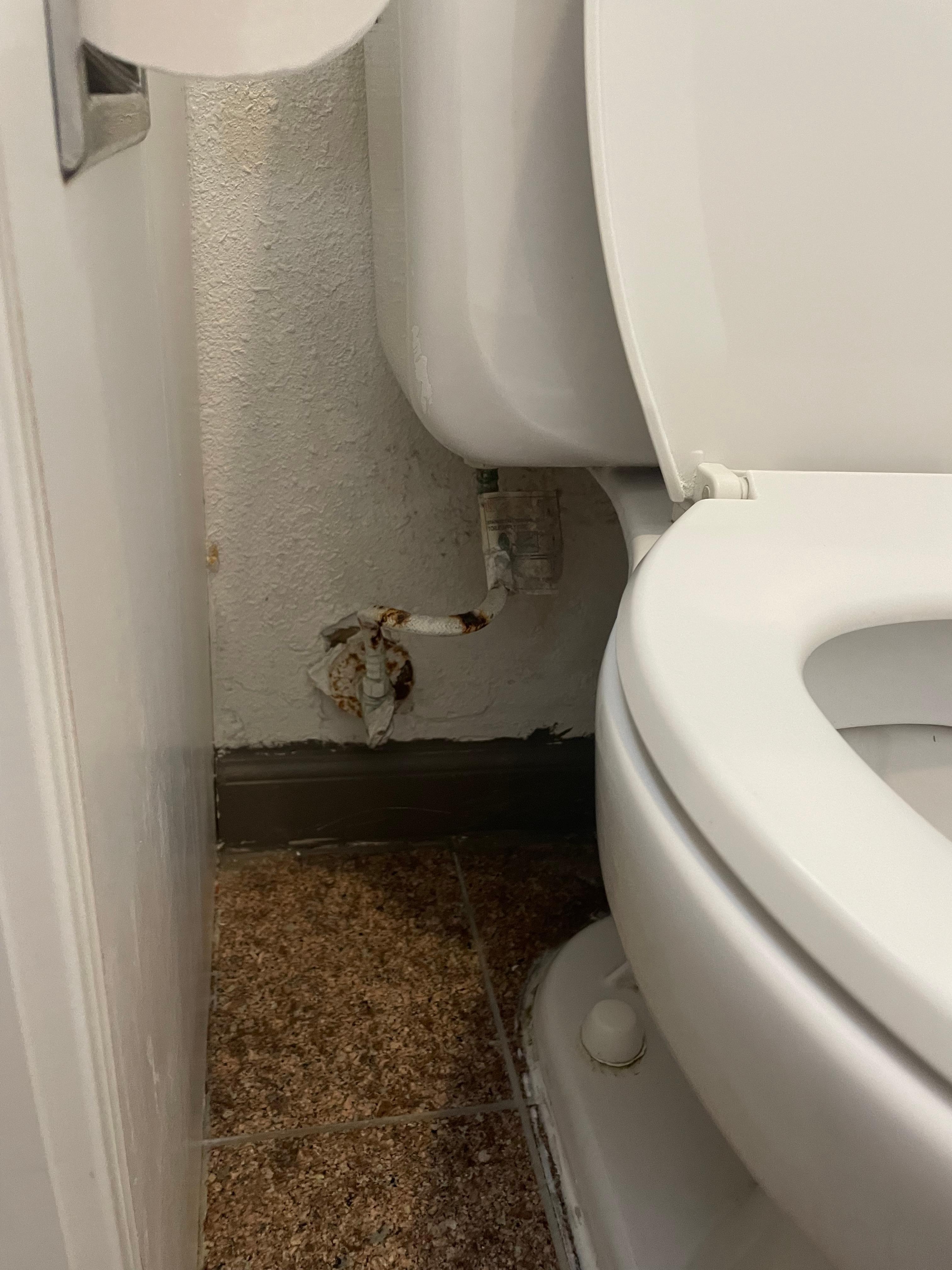 Rusted Bathroom Water Line
