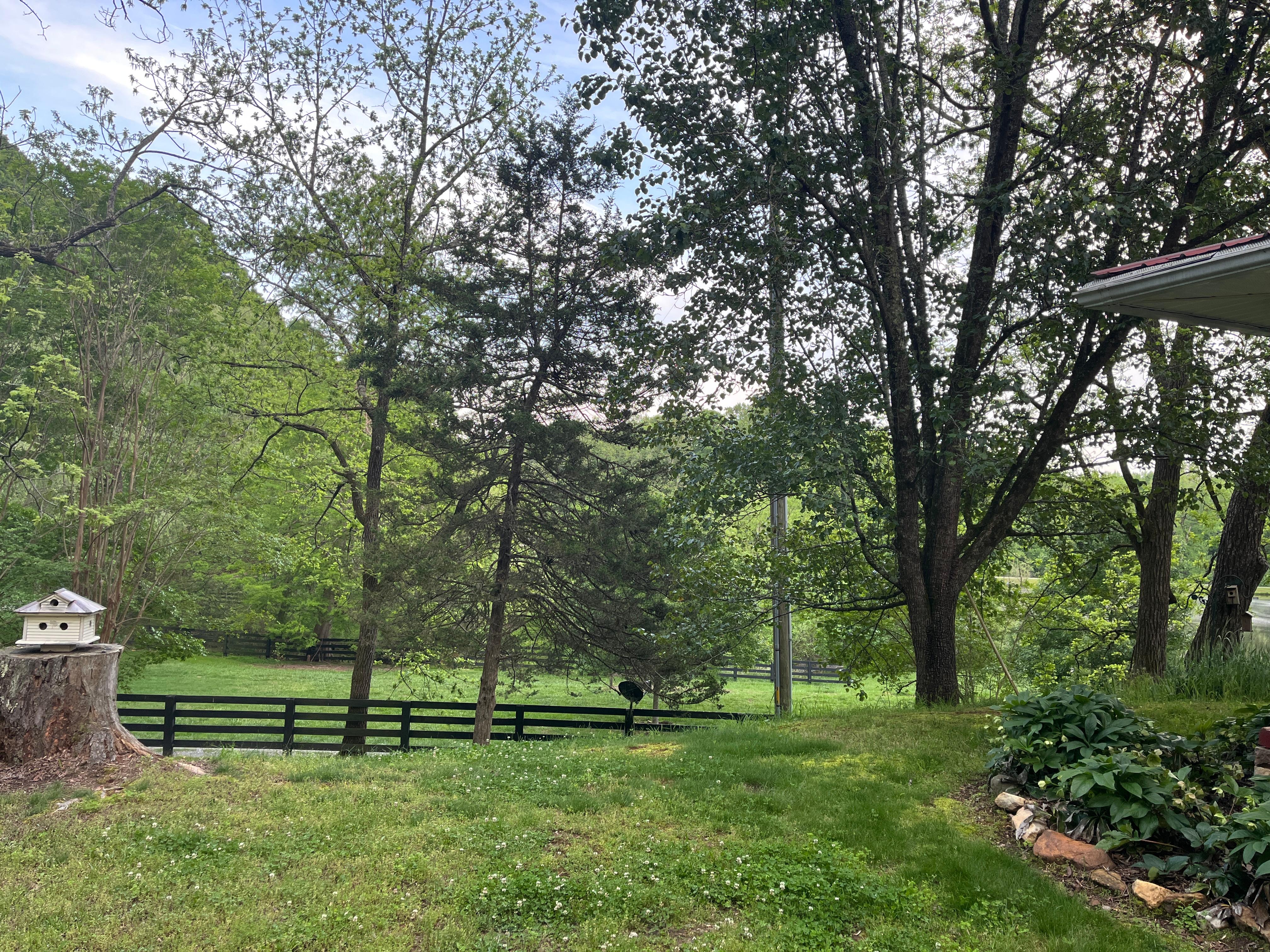 Beautiful view from the porch