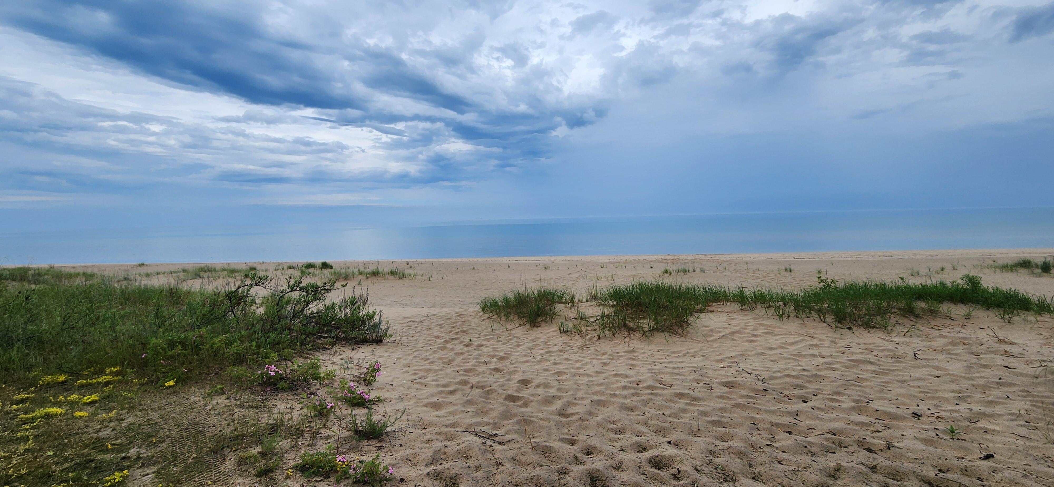 Another view from the firepit, of the beach 