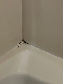 Mold in guest bathtub